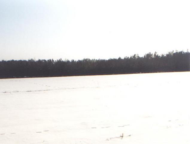 South view