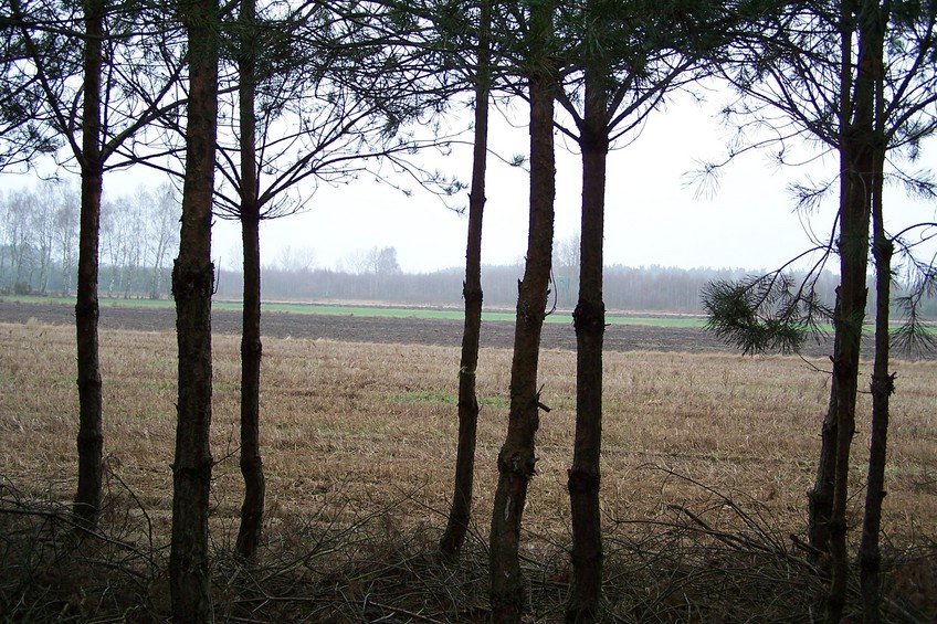 View towards N from the confluence