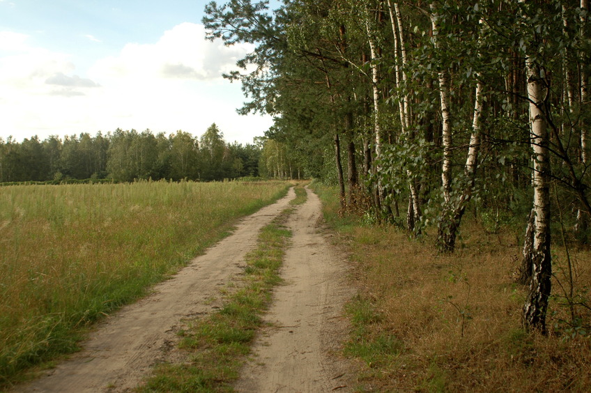 Dirt road