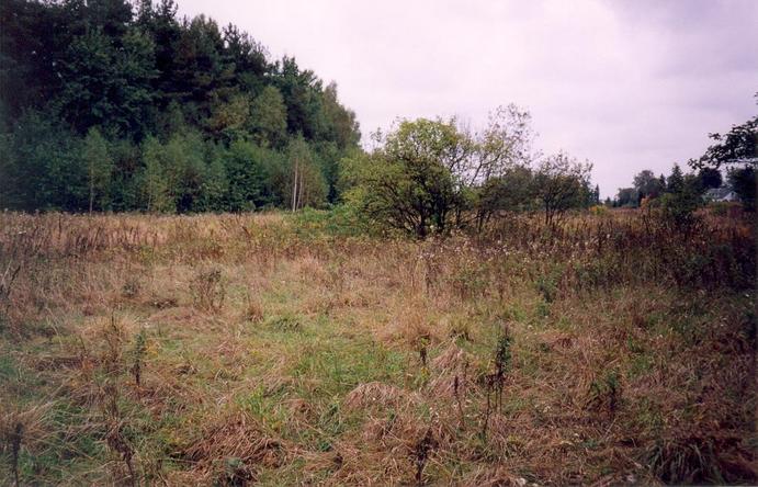 General view of the confluence (towards NW, 1 m away)