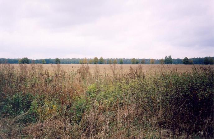 View towards E from the confluence