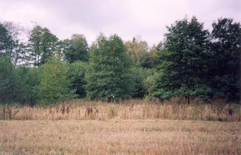 #1: General view of the confluence (towards W, ca. 60 m away)