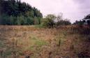 #2: General view of the confluence (towards NW, 1 m away)