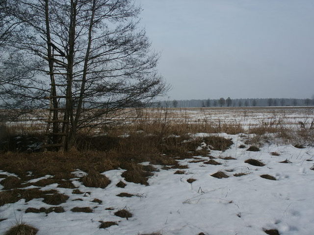 View E