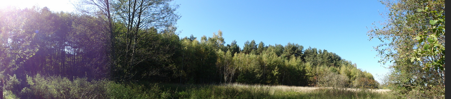 Panoramic view 5 meters east of the point