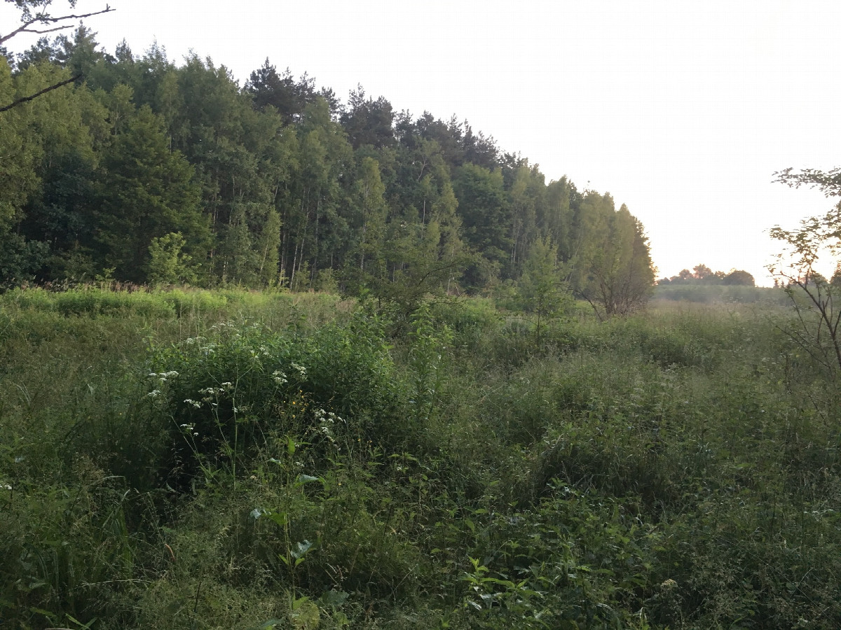 The Confluence from 20 m distance