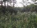 #3: View to the East