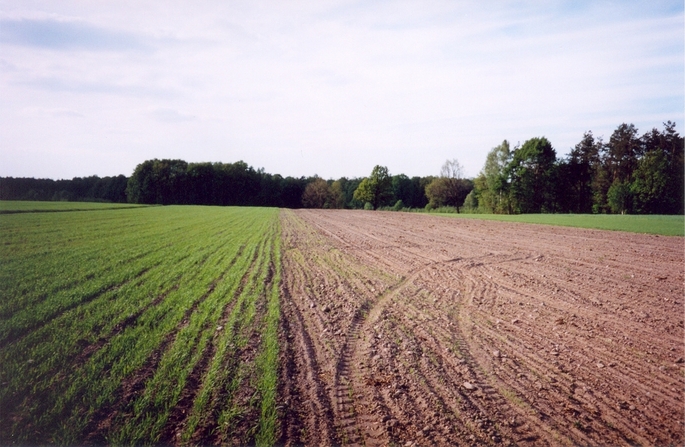 View towards N from the confluence