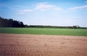 #2: View towards E from the confluence