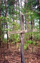 #7: Nearby cross dating 1859