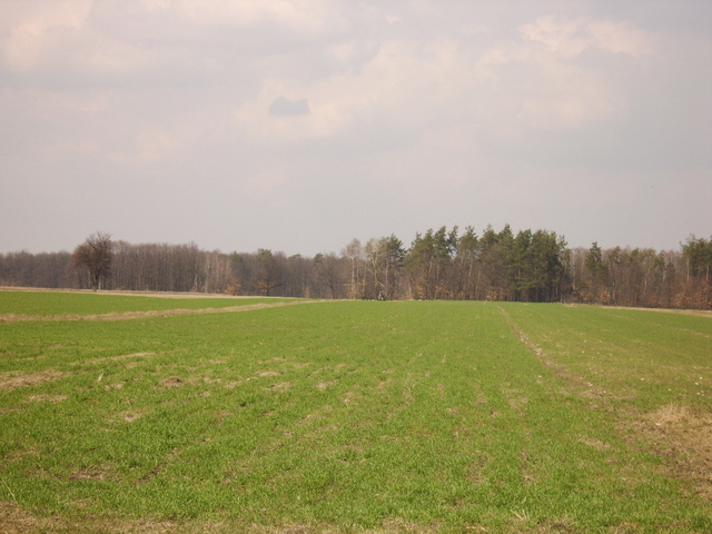 General view / Widok ogólny