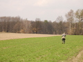 #7: Farmer on field / Rolnik na polu