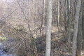 Visit #4: [19-Apr-06]