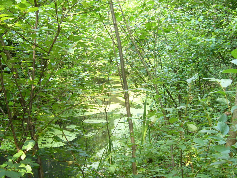 General view - Widok ogólny