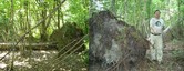 #7: Overturn birch and visitor Murun - Zdobywca Murun przy wywróconej brzozie