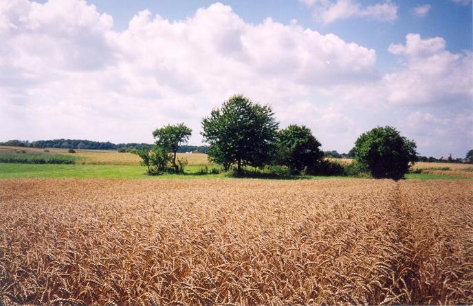 General view of the confluence (towards W)