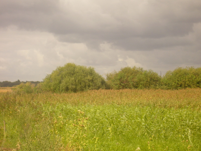 West view - Zachód