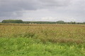 Visit #4: [01-Sep-13]