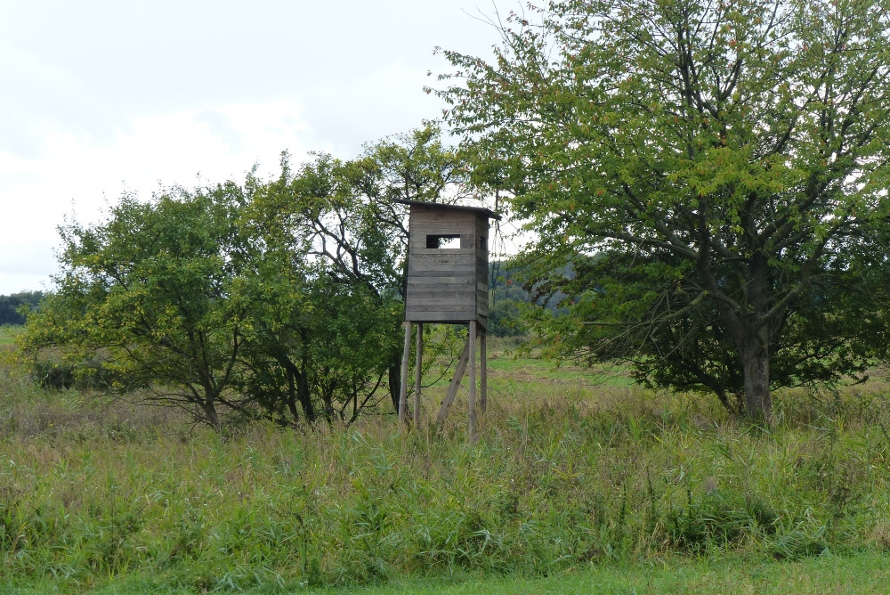 Budka myśliwska pod drzewami około 25 metrów od punktu / Hunting lodge under the trees about 25 meters from the CP