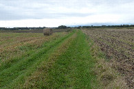 #9: Droga pomiędzy polami / Road between fields