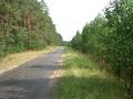 #2: View South East - The Road to Kuznica Zelichowska