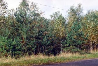 #1: General view of the confluence (towards SW)