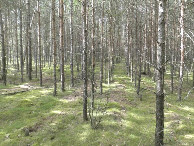 #2: nord