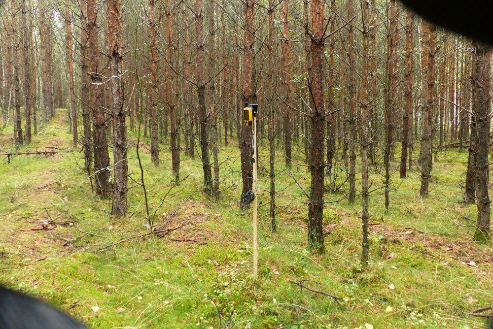 Bezposrednie miejsce punktu z oznaczoniem tyczką z odbiornikiem GPS / Exact spot marked by GPS