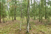 #2: Widok w kierunku N  / North view