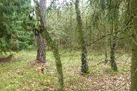 #3: Widok w kierunku E / East view