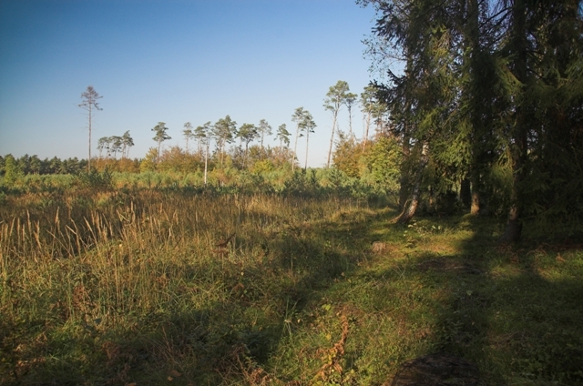 View to the north