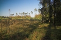 #3: View to the north