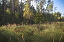 #4: View to the west
