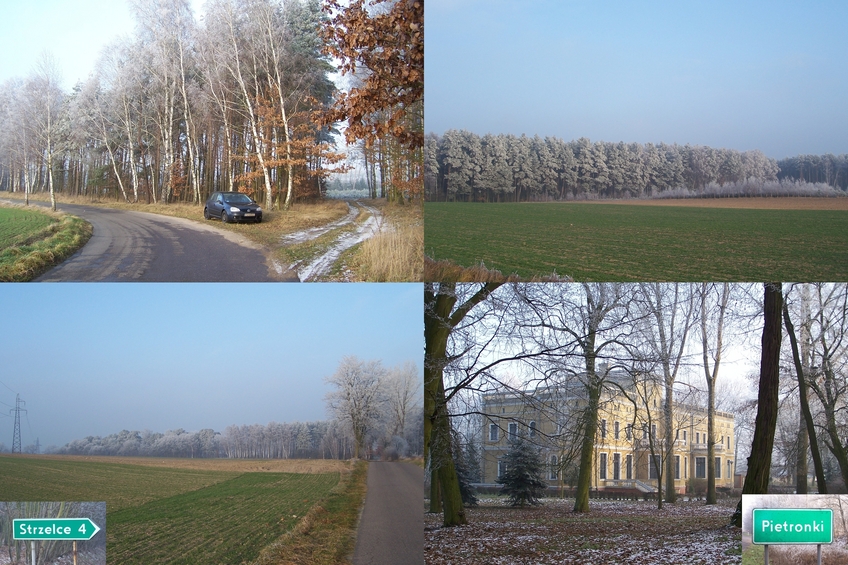 Road to confluence (towards Strzelce) and palace in Pietronki