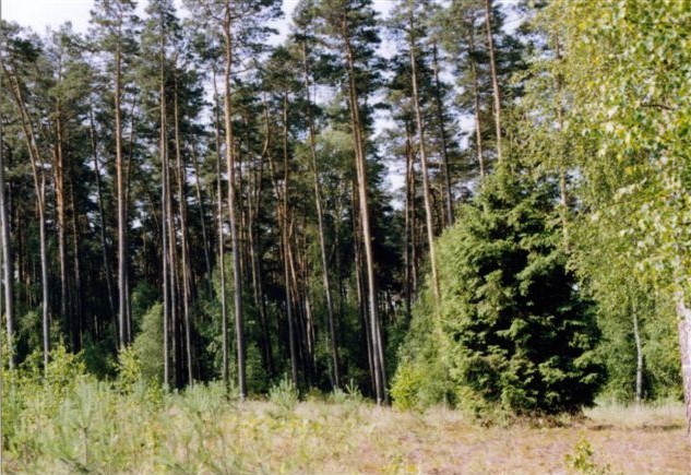 General view - towards south - Widok ogólny - kierunek Pd