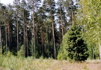 #1: General view - towards south - Widok ogólny - kierunek Pd