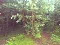 #3: Süd - South