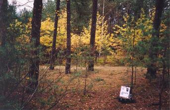 #1: General view of the confluence (view towards N)