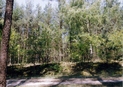 #2: North view - Północ