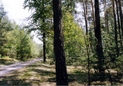 #3: East view - Wschód