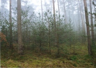 #1: General view - Widok ogólny