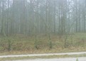 #2: North view - Północ