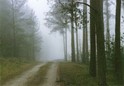 #3: East view - Wschód