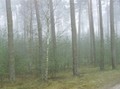 #4: South view - Południe