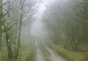 #5: West view - Zachód