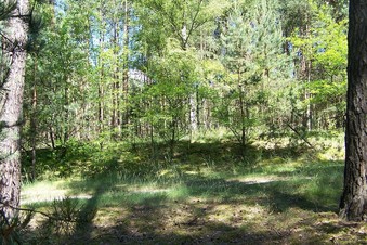 #1: General view of the confluence (towards N)