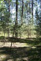 #2: View towards E from the confluence