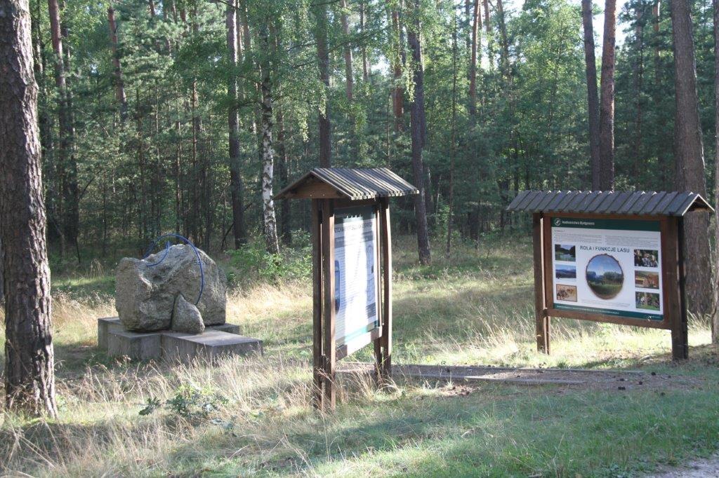 General view - Widok ogólny