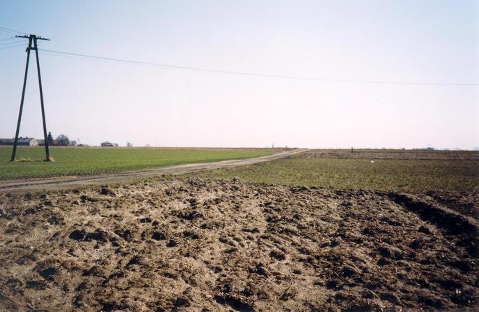 View towards SE from the confluence