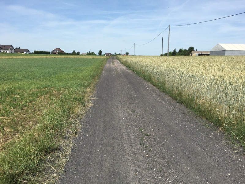 Road at the Confluence